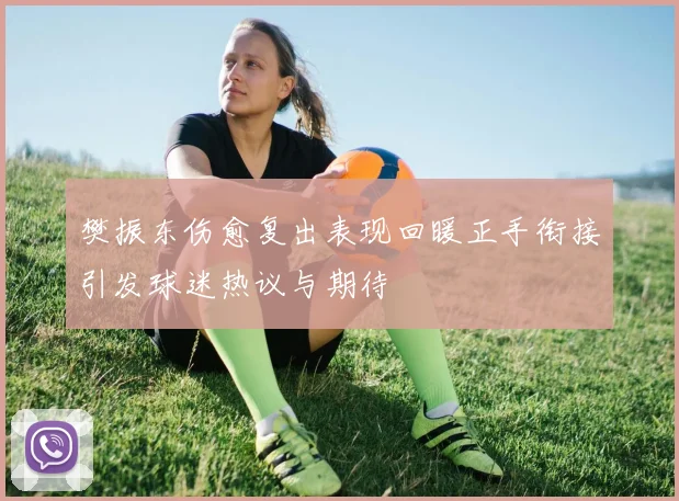 樊振东伤愈复出表现回暖正手衔接引发球迷热议与期待
