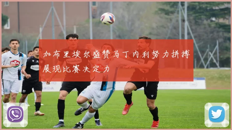 加布里埃尔盛赞马丁内利努力拼搏展现比赛决定力