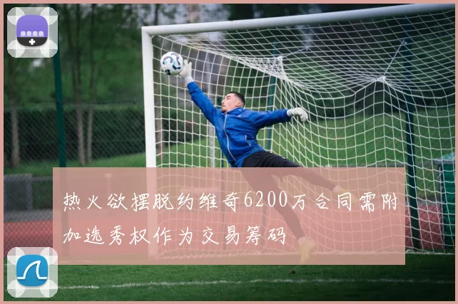 热火欲摆脱约维奇6200万合同需附加选秀权作为交易筹码