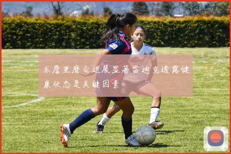 东詹里磨合进展显著雷迪克透露健康状态是关键因素