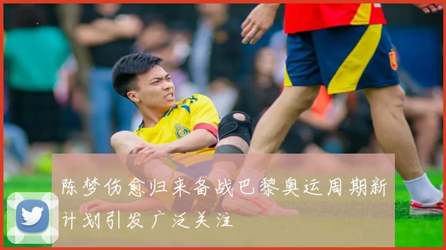 陈梦伤愈归来备战巴黎奥运周期新计划引发广泛关注